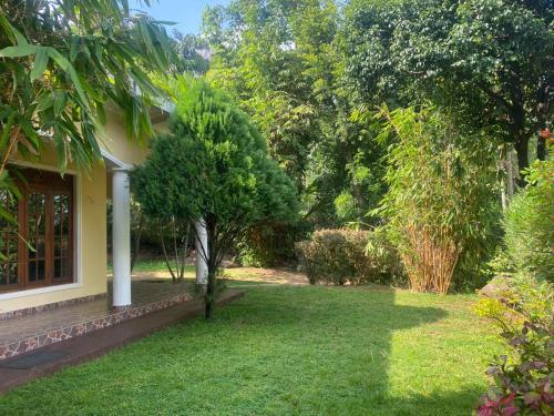 a yard in front of a house with a tree at DropHaus in Naula