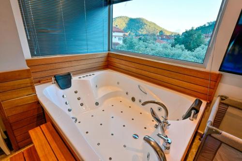 Γενική θέα στο βουνό ή θέα στο βουνό από  αυτή η βίλα