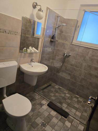 a bathroom with a shower and a toilet and a sink at Vila Altapura in Păltiniş
