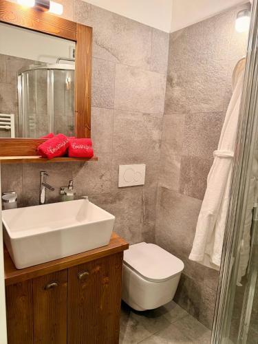 ein Badezimmer mit Waschbecken, Toilette und Spiegel in der Unterkunft The Courma - warm 4 family with Mont Blanc view in Verrand