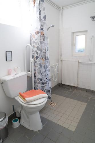 a bathroom with a toilet and a shower at Le grand gîte in Souvigny
