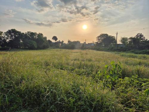 度假屋周边自然景观