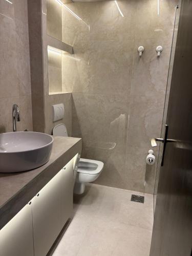 a bathroom with a toilet and a sink and a shower at Stay In Bar in Bar