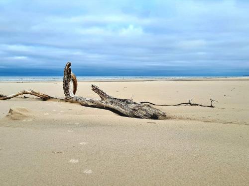 Φυσικό τοπίο κοντά σε αυτή η παραθεριστική κατοικία