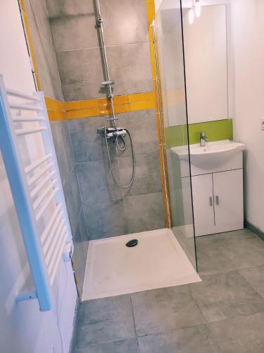 a bathroom with a shower and a sink at La maison de la Motte in La Motte-Fanjas