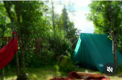 Κήπος έξω από το Refugio Holístico Flora Boreal