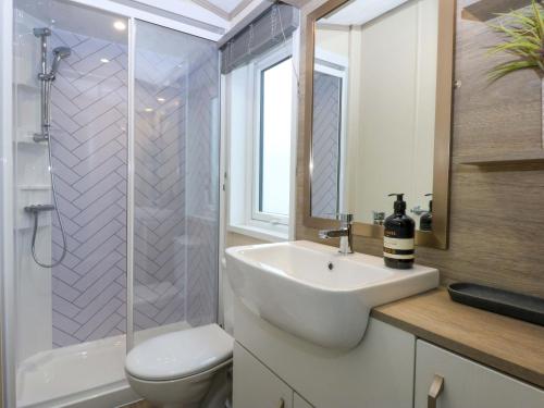 een badkamer met een wastafel, een toilet en een douche bij Blue Skies in Llanwnda