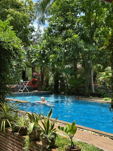 a person swimming in a swimming pool with trees at Laoxao RiverStone Villa in Hoi An