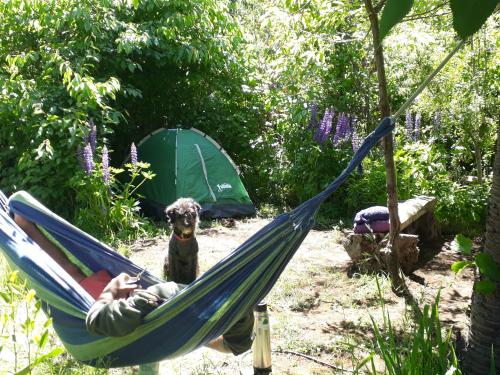 Zahrada ubytování Refugio Holístico Flora Boreal