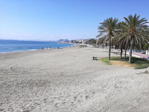 Naturlandskabet i nærheden af lejligheden