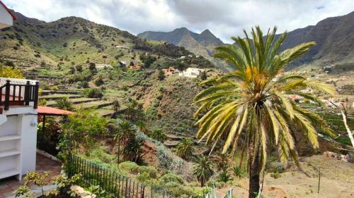 a palm tree sitting on top of a mountain at Casa Lara in Hermigua