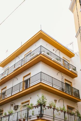 Bright apartment in the heart of La Alfalfa