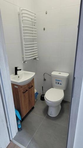 a bathroom with a white toilet and a sink at Golenicka Przystań Golenice 73a in Golenice