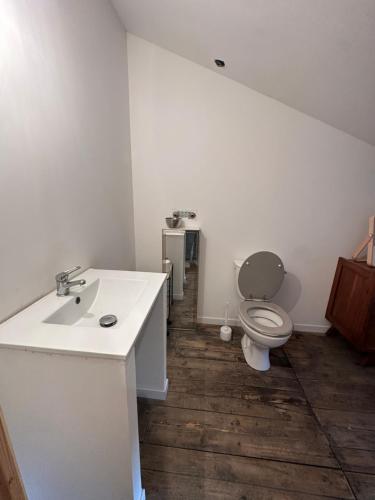 a bathroom with a white sink and a toilet at Maison avec Jardin 3 chambres entre Tarn et Aveyron in Carmaux