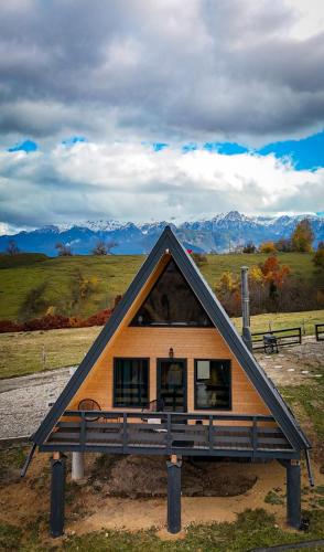 a house with a triangular roof with mountains in the background at Cabanuta din munti in Moieciu de Jos