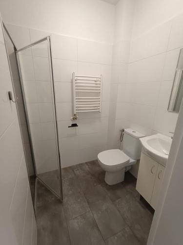 a white bathroom with a toilet and a sink at Willa Cieszynianka in Wisła