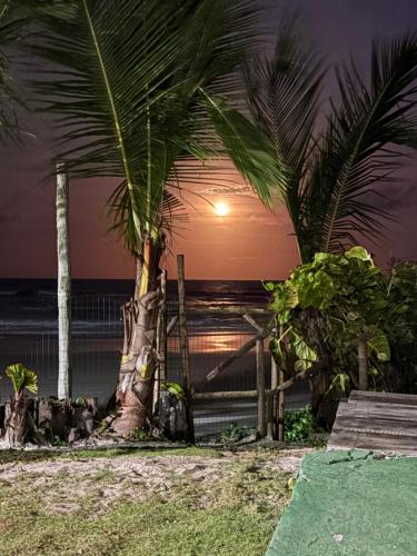 伊列乌斯Vila dos Gnomos Paraíso Místico Pé na Areia的海滩上的两棵棕榈树