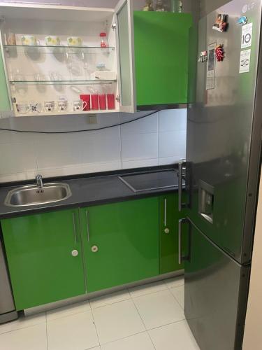 een keuken met groene kasten en een roestvrijstalen koelkast bij Panorama Bulevar Delta Planet, free parking in Niš