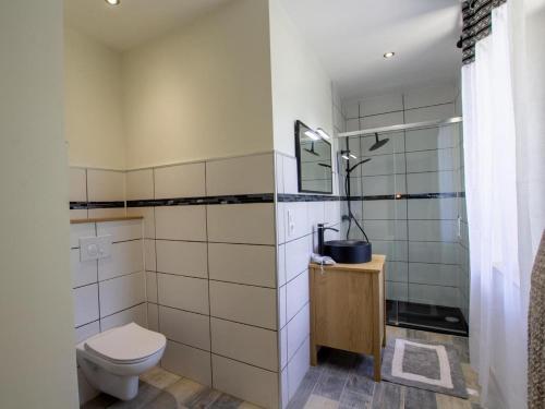 CampsegretChambres d'hôtes du Lac Beausoleil的带马桶和淋浴的浴室