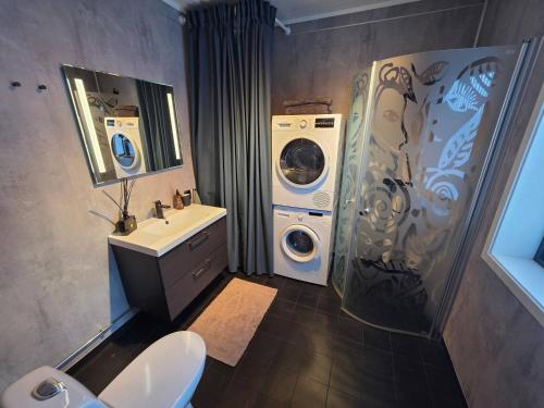 a bathroom with a washing machine and a washer and dryer at Winter cabin with Jacuzzi in Vestby