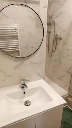 a bathroom with a white sink and a mirror at Studio Bourgogne 20 in Orléans