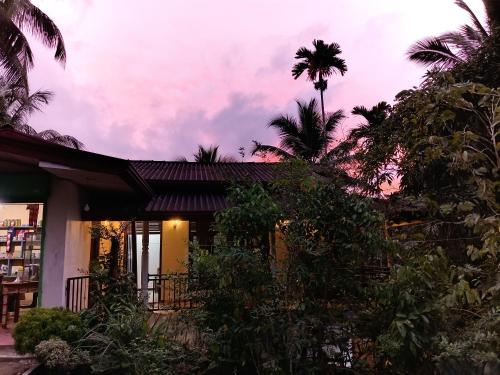 KiriwalagamaFeelATHome STAY - Near sinharajaya的棕榈树下的房子
