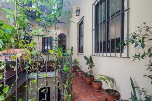 Plaza San Marcos Apartment