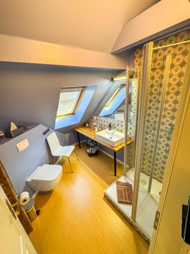 a bathroom with a toilet and a desk and a sink at Vogelhaus Gobbin in Lancken-Granitz