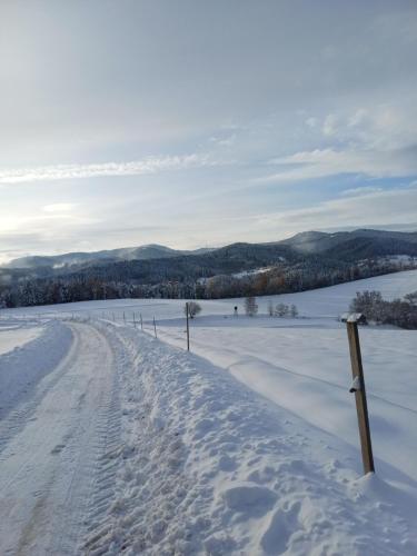 "RYVILLA" Dom na Wilkówce