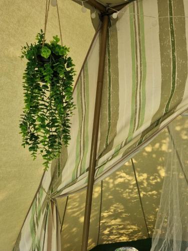 Billede fra billedgalleriet på Camping Ont Moeten - Tijdloos i Rekken