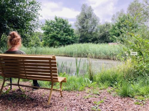 Phong cảnh thiên nhiên gần nhà gỗ