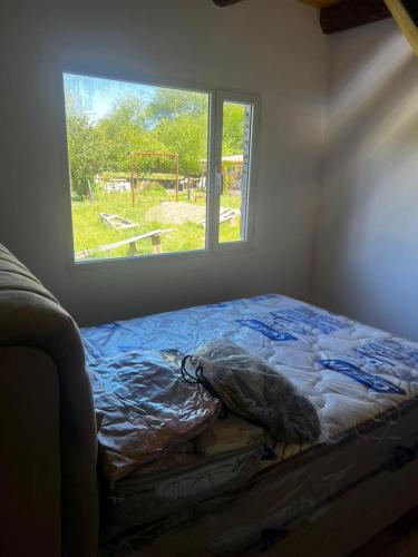 埃普延Fh alojamiento的有窗户的房间里的一张床