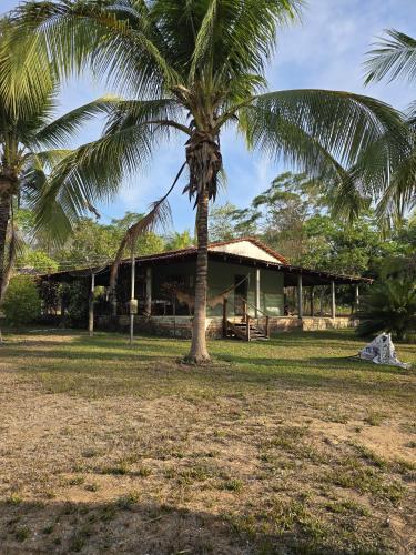 a house with a palm tree in front of it at RECANTO DO SABIÁ in Carolina
