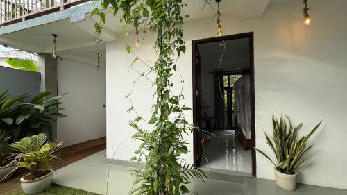 un pasillo con plantas delante de una puerta en Priima, en Ahangama