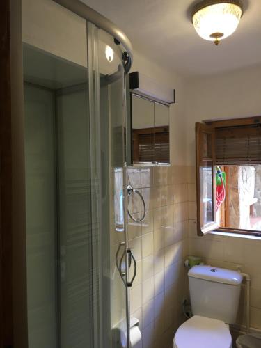 Casa de alquiler turístico en León centro - 6 plazas في ليون: حمام مزود بمرحاض ودش زجاجي