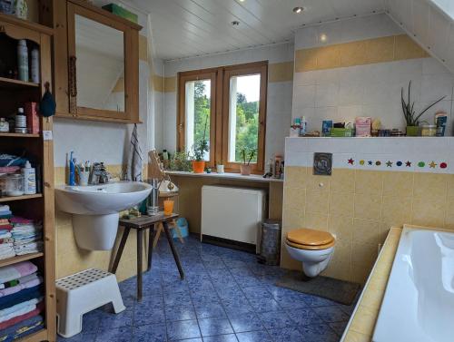 Et badeværelse på Ferienwohnung Oberförsterei Sosa 2