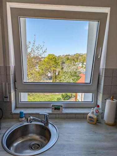 a sink in front of a window in a bathroom at Refugium - Möhneseeblick in Möhnesee