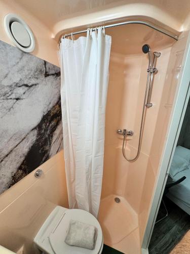 a bathroom with a shower and a toilet at Class'Eco Chambly in Chambly