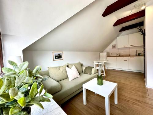 Studio Oliwa - Żubrowa 4