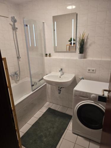 ein Badezimmer mit Waschbecken und Waschmaschine in der Unterkunft WohnTraum Im Grünen in Dresden