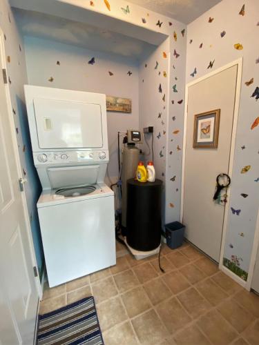 a kitchen with a washer and dryer in a room at Serendipity in Saint Ignace