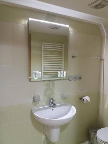 a bathroom with a sink and a mirror at Hotel Zámek Berchtold in Kunice - Vidovice