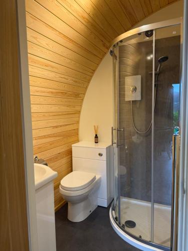 a bathroom with a toilet and a shower at Polgooth Inn in St Austell