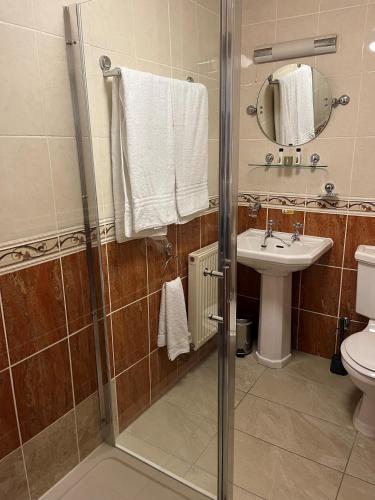 a bathroom with a shower and a sink and a toilet at The Pegwell Bay Hotel in Ramsgate