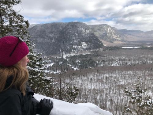Φυσικό τοπίο κοντά σε αυτό το σαλέ