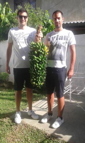 two men are holding a bunch of bananas at Mini's Residence in Colombo