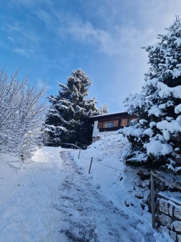 Το Casa nel Bosco τον χειμώνα