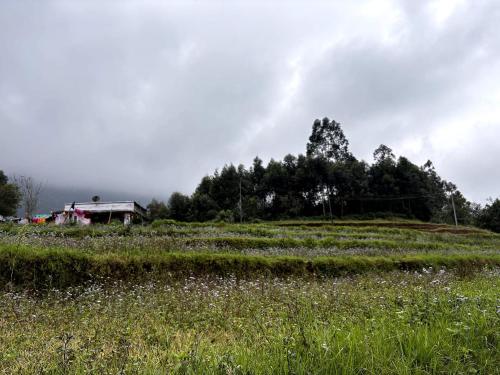 Naturlandskabet i nærheden af den private indkvartering