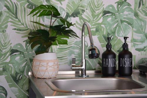 Galería fotográfica de Charming Boutique Apartment in San Sebastian, en Hato Arriba