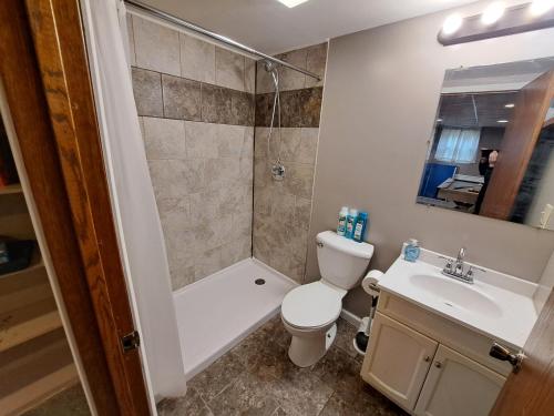 a bathroom with a toilet and a shower and a sink at Location! Large Home, Country Views, Entertainment in Dubuque